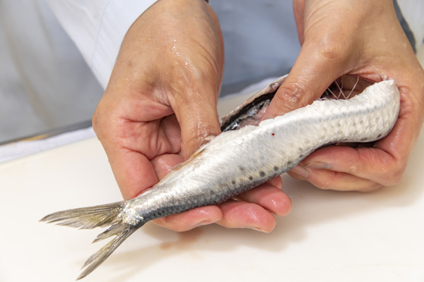 イワシは、手で開き、骨をとる。