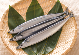 サンマ