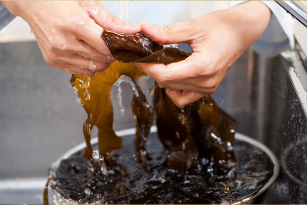 生ワカメは流水でよく洗って食べやすい大きさに切る。